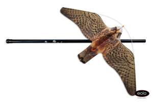 Cerf-volant en forme de faucon BirdGard