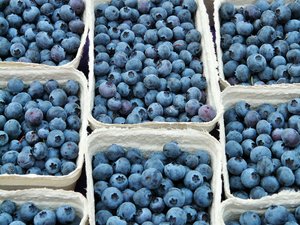 produzione di mirtilli produzione di mirtilli