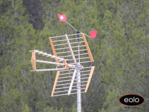 Come-Allontanare-gli-Uccelli-dalle-Antenne
