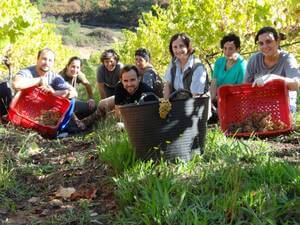 lavoro-allaperto-sul-vigneto-csic