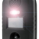 Garden Protector 2 – Répulsif chat avec flash