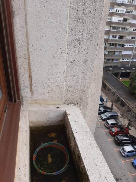 Éviter que les pigeons se posent aux fenêtres