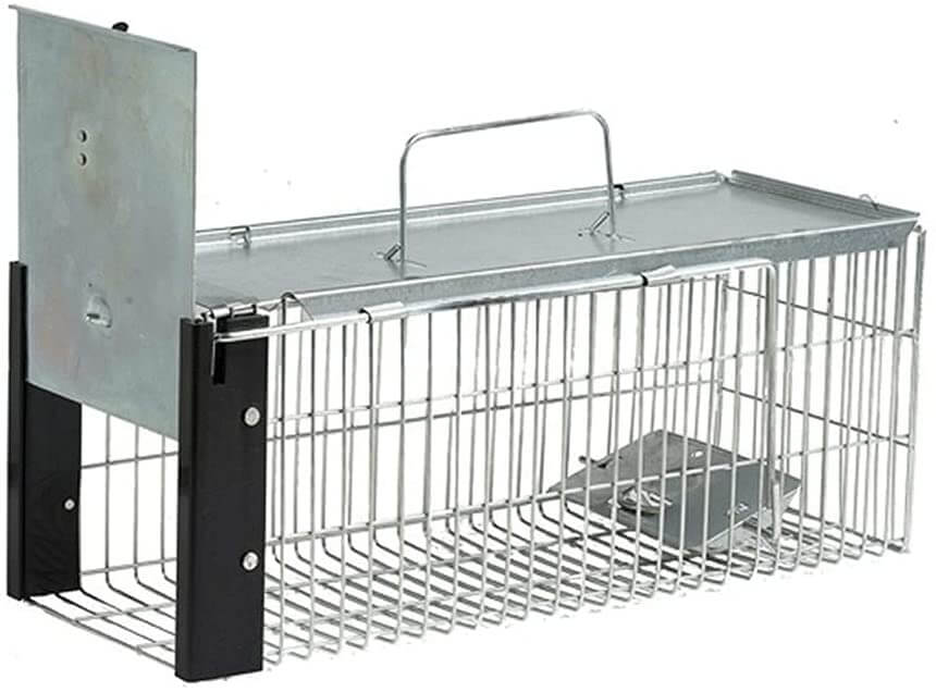 Cage à rats