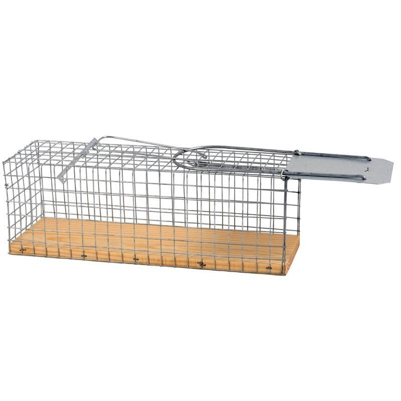 Cage à souris