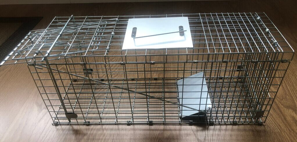 Cage piège pliable assemblée