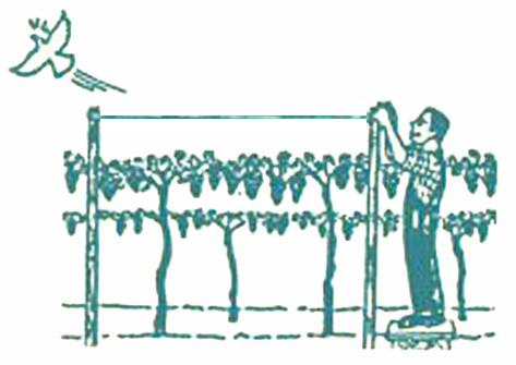 Nastro-Repellente-Antiuccelli-Installazione
