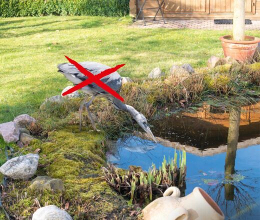 Dispositif pour éloigner les hérons et les chats de votre étang, protégeant vos poissons et votre jardin.